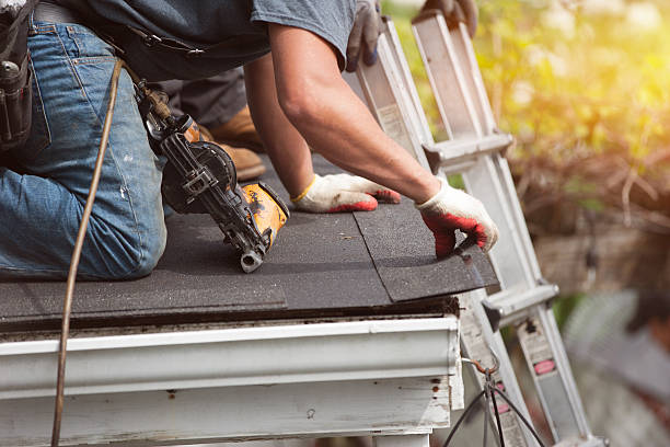 Best Shingle Roofing Installation  in Forsyth, MT
